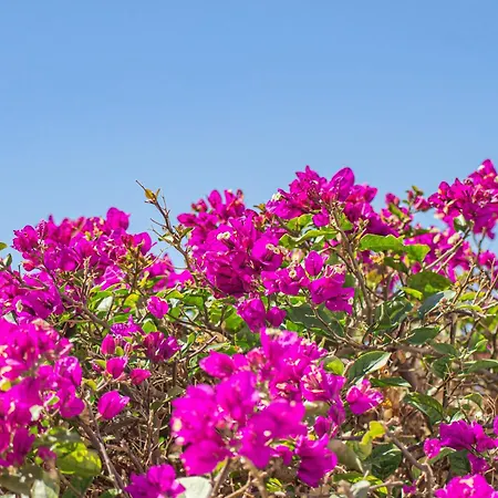 Villa Catrina - Plusholidays Calpe